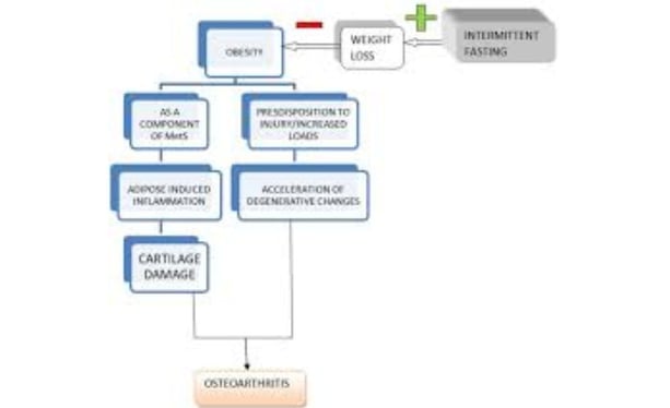 oxitavie stress