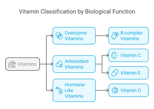 classification based on biological function