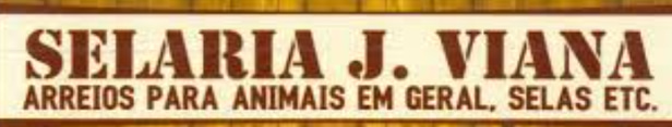 Selaria Viana e Silva logo