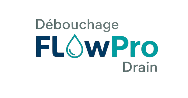 Flow Pro Drain logo