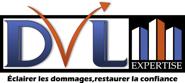 DVL EXPERTISE logo