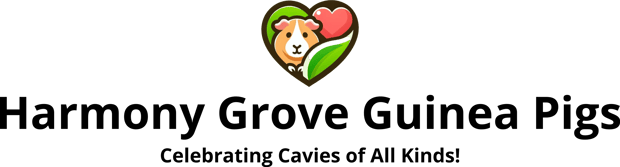 Harmony Grove Guinea Pigs logo