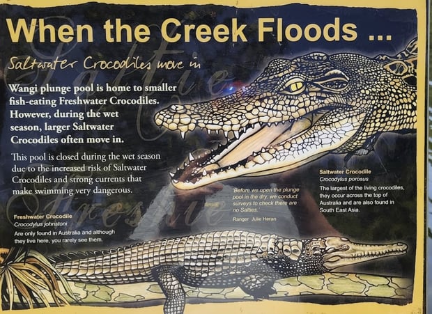 Saltwater Crocodile information sign
