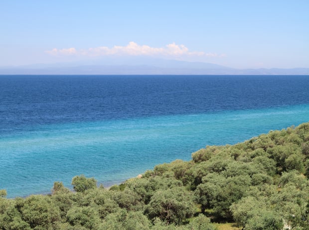 a view aegean sea and olive grove