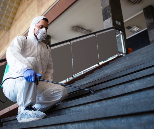 mold removal chandler