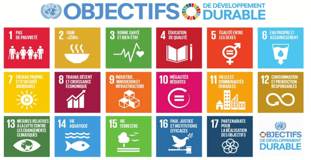 Objectifs de développement durable de l'ONU