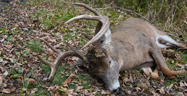 successful deer season