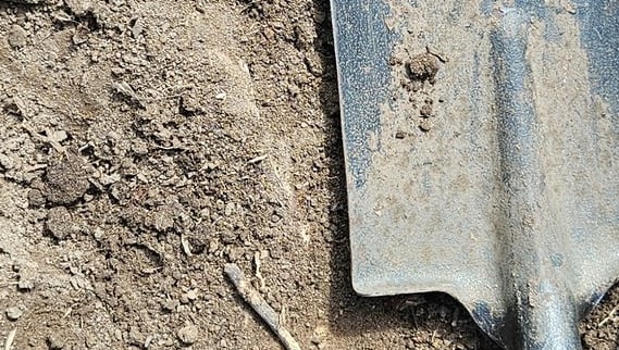 Garden renovation, Landscaping