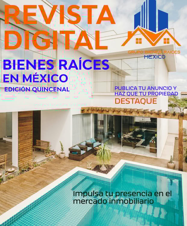 Revista