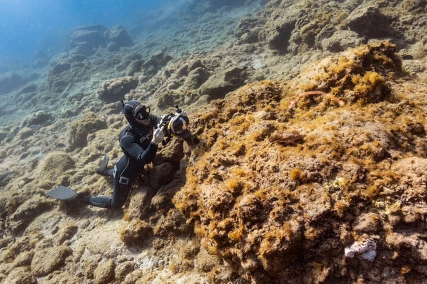 Sébastien Saintignan taking pictures underwater