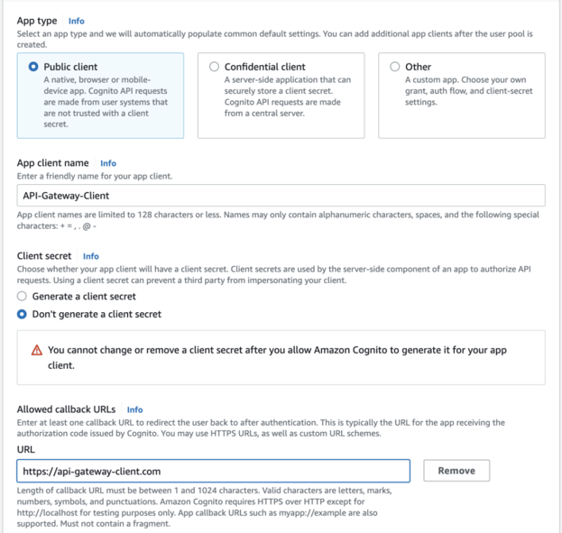 set up app client for user pool cognito