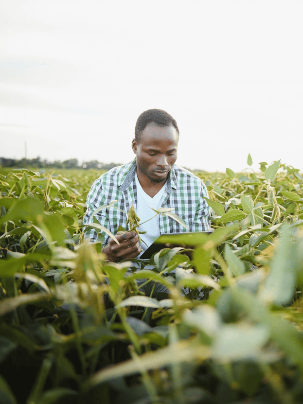 a man in a plaid shirt is standing in a field with a tablet