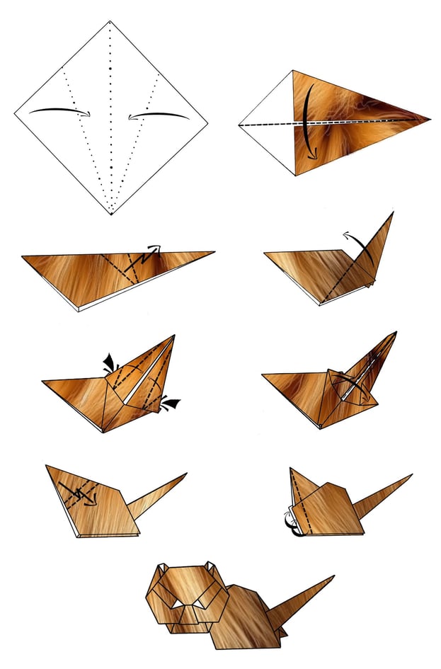 Istruzioni per creare il corpo di un gatto di origami con la carta
