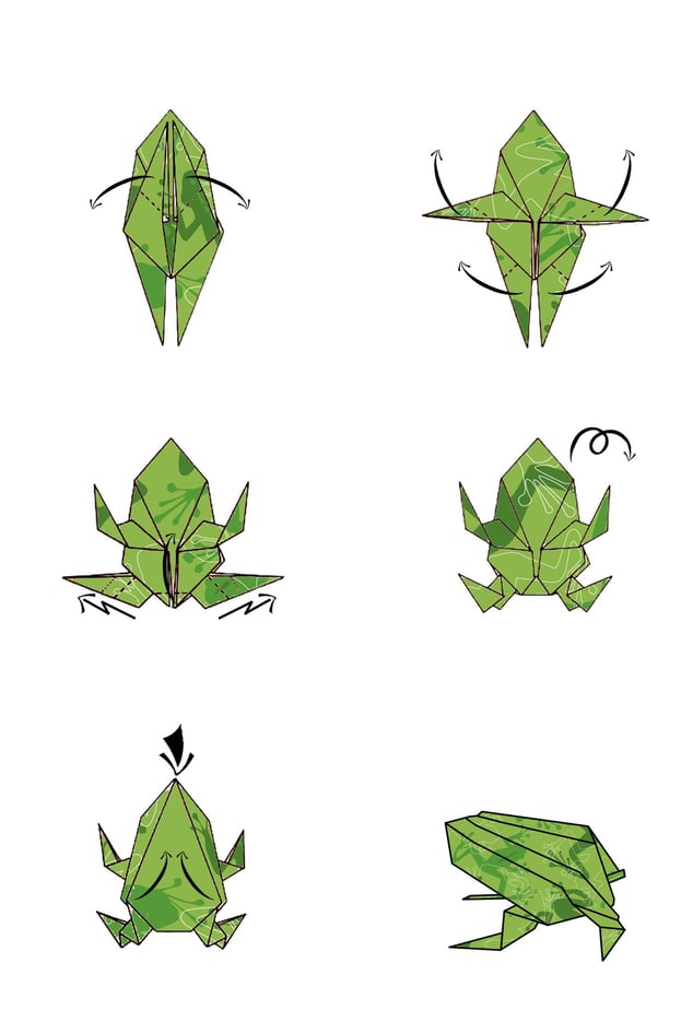 Istruzioni per creare un rospo in origami con la carta