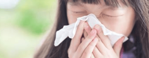 Honey : One-Time Treatment for Sneezing