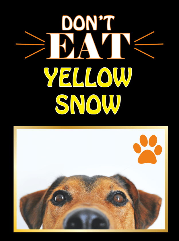 a dog is shown with a dog's face and a dog's face
