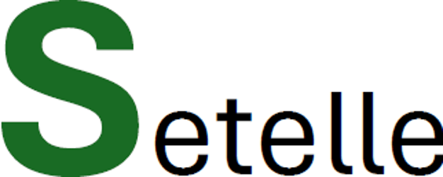 Setelle logo