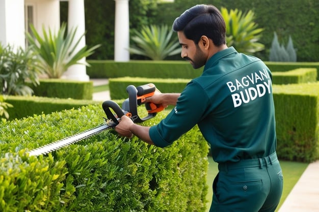 Gardener providing affordable and precise hedge cutting services in a well-maintained garden.