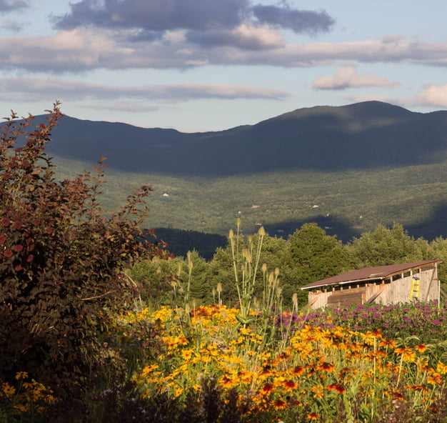 Garden at Trapp Family Lodge