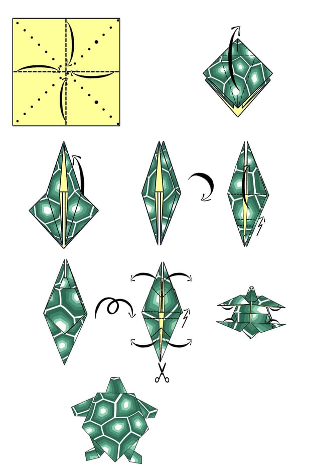 Istruzioni per creare una Tartaruga di origami con la carta