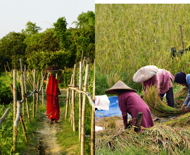 women as a part of agriculture