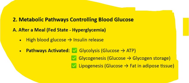 Fed State - Hyperglycemia