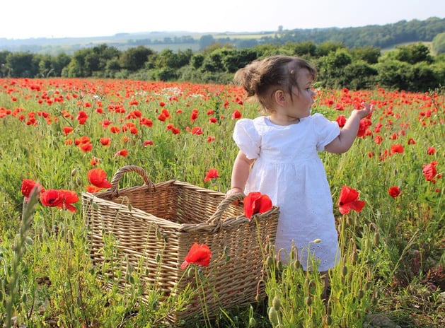 Séance photo d'un enfant qui se trouve dans un champ de coquelicots