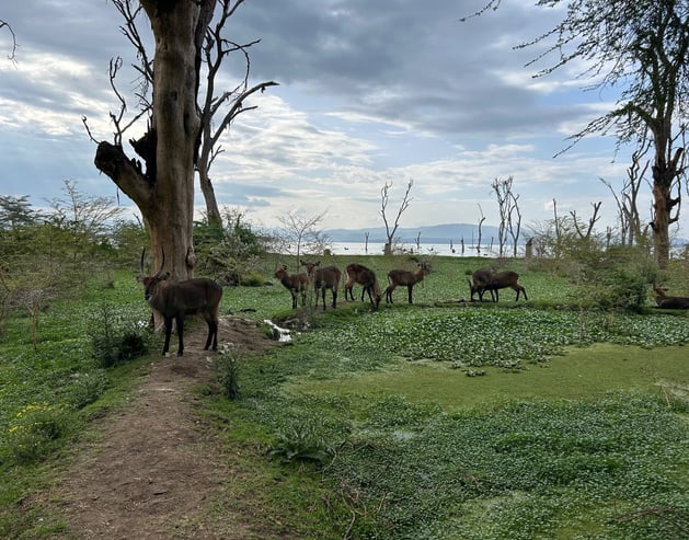 Kenya Prayer Update #2 | Zion Marsters