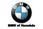 bmw logo