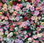 une composition florales avec des roses de toutes les couleurs