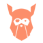 odin logo