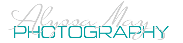 alyssamayphoto logo