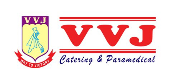 VVJ Institute logo