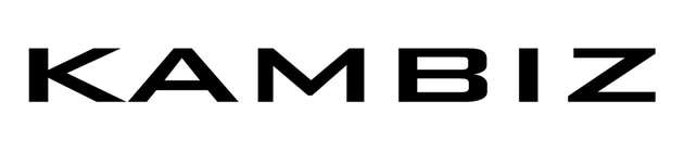 kambizio, leather bags, dresses, and fine art logo