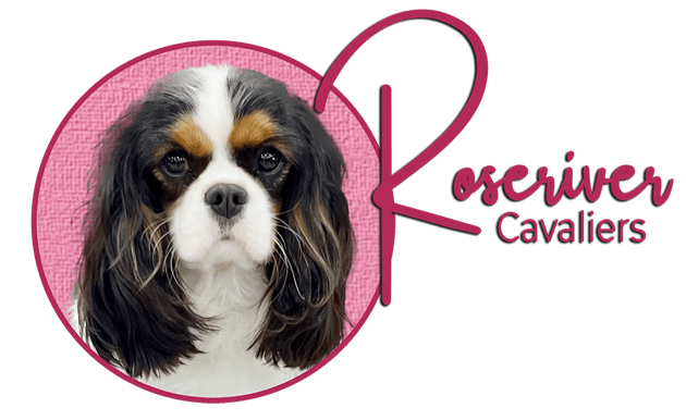 Roseriver Cavaliers logo