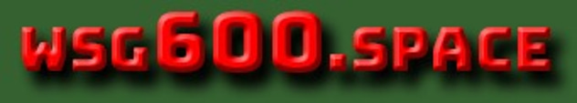 wsg600 logo