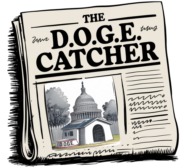 The DOGE Catcher political newsletter about Elon Musk's Department of Government Efficiency