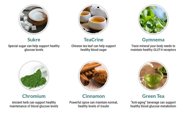 Sukre Teacrine Gymnema Chromium Cinnamon Green Tea