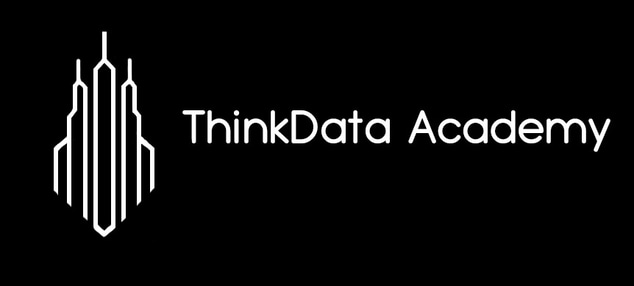 ThinkData Academy logo