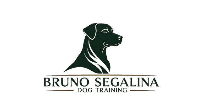 Bruno Segalina logo