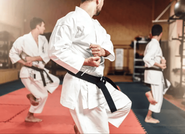 Unlocking the Secrets of Karate: Exploring the 4 Major Styles