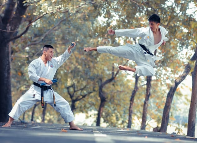Taekwondo vs. Karate: Striking Power, Discipline, and the Path to Self-Defense Mastery