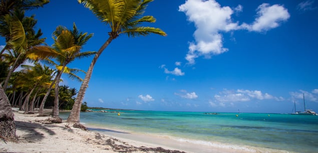 plage paradisiaque de guadeloupe