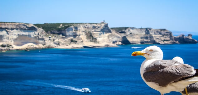 bonifacio en famille vacances