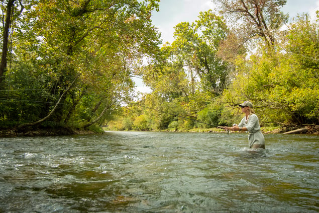 Lady Wade Fishing the Watauga River in Tennessee