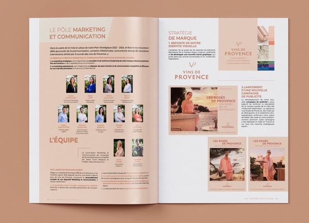 rapport d'activité