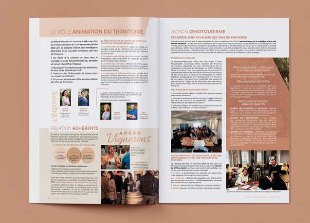 rapport d'activité