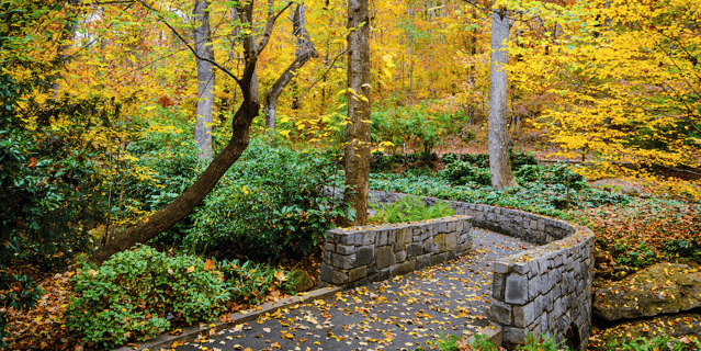 Fall garden leaves