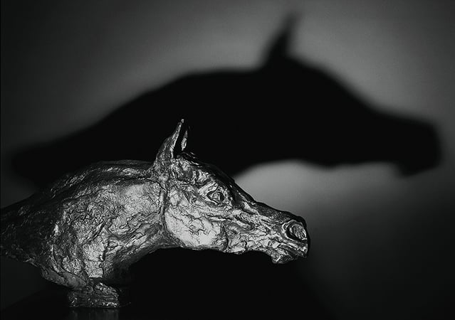 Oeuvre d'artiste-Tête de cheval arabe en bronze- art animalier