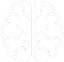 disordini neurodegenerativi e microbiota